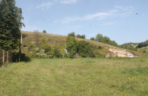 thumb_3644613_img_0502_800x533.jpg