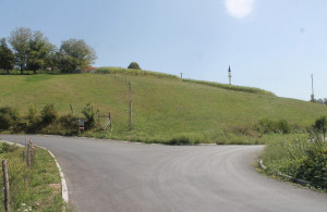 thumb_3644613_img_0511_800x533.jpg
