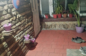 thumb_3644637_img_3327.jpeg