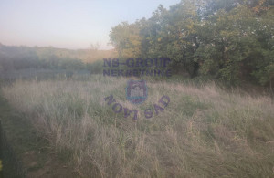 thumb_3644737_image_66f1b4a3cc0908579bbe3dd1.jpeg