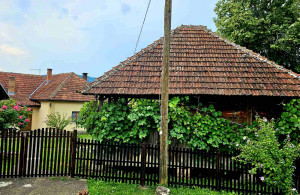 thumb_3644745_5.jpg