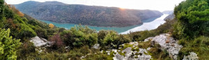 thumb_3645402_1.jpg