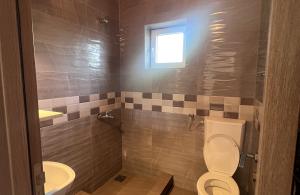 thumb_3645625_img_0734.jpg