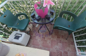 thumb_3646177_image_68bc2a873f3fc5d1cdb4c009.jpg