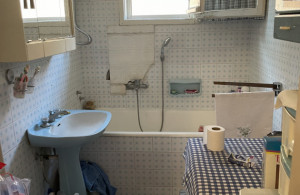 thumb_3646239_img_3674r.jpeg