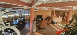 thumb_3646650_img_5134.jpeg