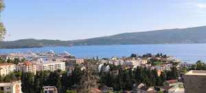 thumb_3646995_4.jpg