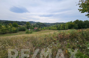 thumb_3647725_11.jpg