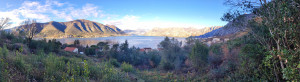 thumb_3648530_pano_20250104_085737.jpg