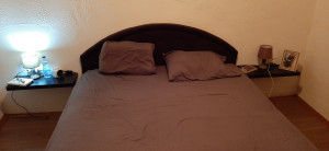 thumb_3648729_20200820_223624.jpg