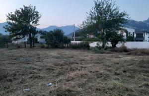 thumb_3648764_untitled.jpg