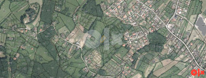 thumb_3649568_img-1756969853-2fe154d0e942.jpg
