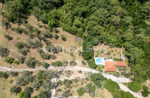 thumb_3649861_dji_0133.jpg