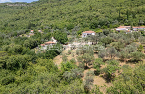 thumb_3649861_dji_0135.jpg