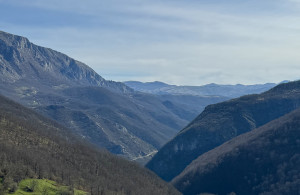 thumb_3655138_barica-pogled.jpeg