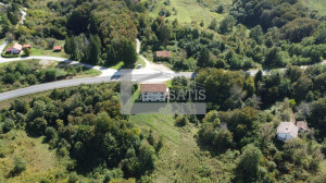 thumb_3656046_10_watermarked.jpg