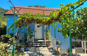 thumb_3656743_ntenegro.real_.estate.montenegro.hercegnovi.greathouse34.jpg
