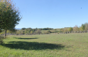 thumb_3657320_img_0673_800x533.jpg