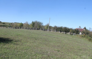 thumb_3657320_img_0674_800x533.jpg