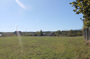 thumb_3657320_img_0678_800x533.jpg