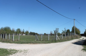 thumb_3657320_img_0689_800x533.jpg