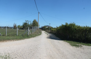 thumb_3657320_img_0691_800x533.jpg