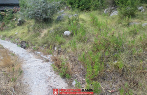 thumb_3657565_budva-kuljace-plac-prodaja_4.jpg