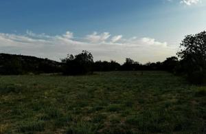 thumb_3657594_img_0077.jpg