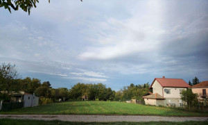 thumb_3659355_1.jpg