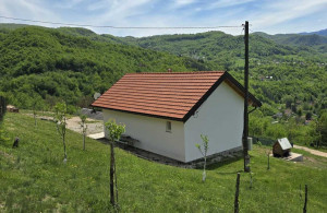 thumb_3660232_kijevo--1-.jpg