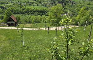 thumb_3660232_kijevo--12-.jpg