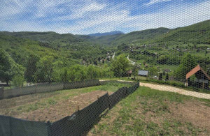 thumb_3660232_kijevo--19-.jpg