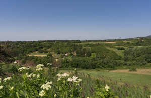 thumb_3661811__dsc7056.jpg