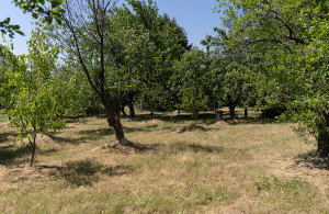 thumb_3661811__dsc7057.jpg