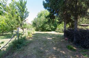 thumb_3661811__dsc7069.jpg