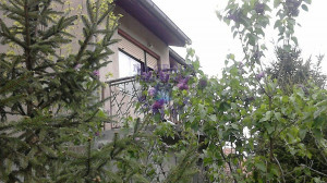 thumb_3662643_image_624cccdb2fc94451e48c1726.jpeg