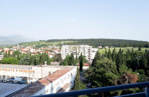 thumb_3662703_9.jpg