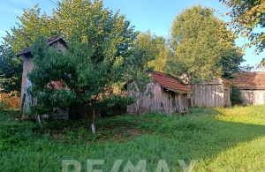 thumb_3662902_23.jpg