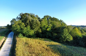 thumb_3664539_1.jpg