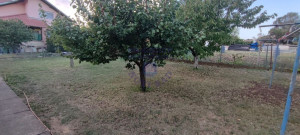 thumb_3664847_8.jpg