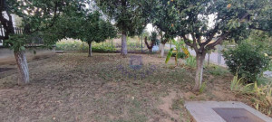 thumb_3664847_9.jpg