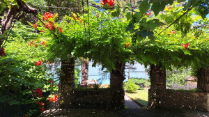 thumb_3664876_img-20251001-wa0055.jpg