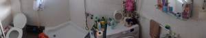 thumb_3665900_g7.jpg