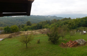thumb_3668821_dscn1974.jpg
