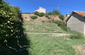 thumb_3668926_img_7964r.jpeg