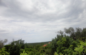 thumb_3671056_dsc00933_resize.jpg