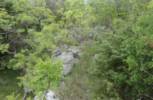 thumb_3671056_dsc00935_resize.jpg