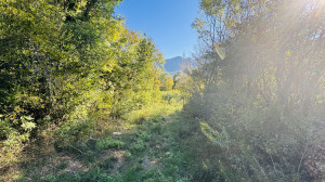 thumb_3671885_img_7291.jpeg
