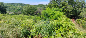 thumb_3671905_3.jpg