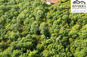 thumb_3673290_plac_dub_rivijera_nekretnine-3-850x570.jpg